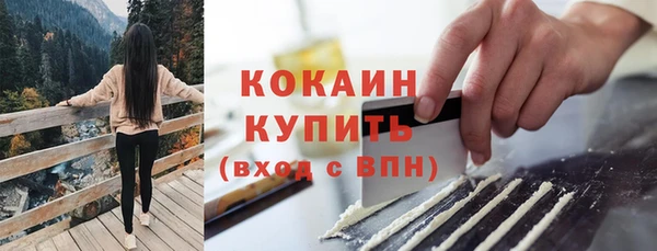 прущие грибы Дмитриев