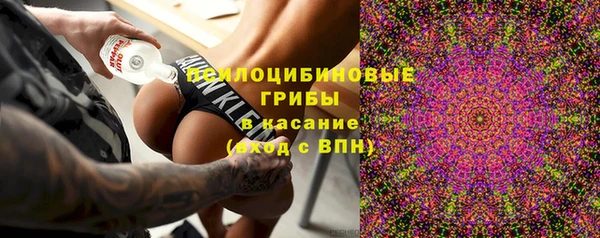 таблы Гусиноозёрск