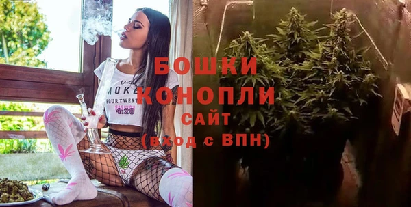 Альфа ПВП Гусь-Хрустальный