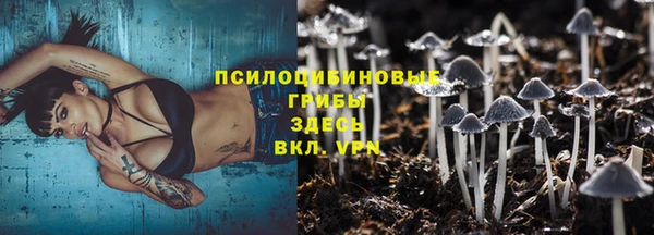 Альфа ПВП Гусь-Хрустальный