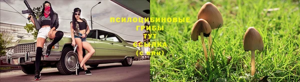 таблы Гусиноозёрск