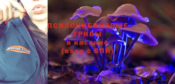 таблы Гусиноозёрск