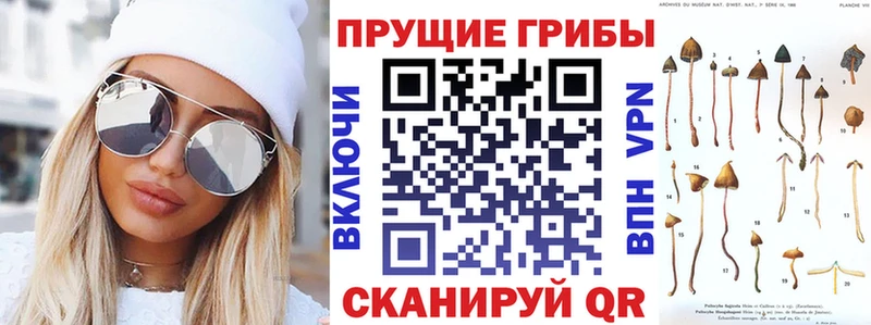 Псилоцибиновые грибы MAGIC MUSHROOMS  Купить где  Лахденпохья 